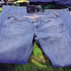 Old Navy the diva 10 long